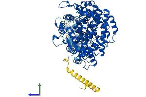 Protein Structure (PS) image for Ribonucleotide Reductase M1 (RRM1) (AA 1-792) protein (His tag) (ABIN7562754)