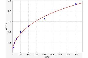 BMP7 ELISA Kit