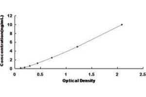 PKC delta ELISA Kit