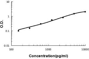 Sandwich ELISA - Recombinant mouse PON1 protein standard curve. (PON1 Antikörper  (AA 30-274))