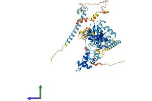 Protein Structure (PS) image for Guanine Nucleotide Binding Protein-Like 3 (Nucleolar)-Like (GNL3L) (AA 1-582) protein (His tag) (ABIN7554022)