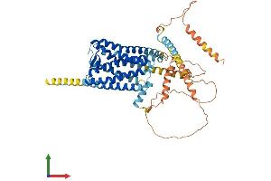 Protein Structure (PS) image for G Protein-Coupled Receptor 161 (GPR161) (AA 1-529) protein (His tag) (ABIN7554018)