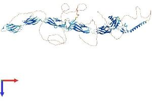 KIAA0319L Protein (KIAA0319L) (AA 1-1049) (His tag)