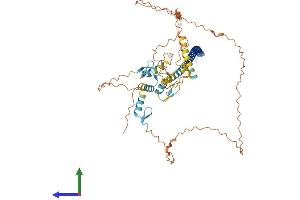 AlphaFold protein structure predicition of Human Recombinant ZNF212 Protein, UniprotID Q9UDV6