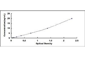 Typical standard curve (CD19 ELISA Kit)