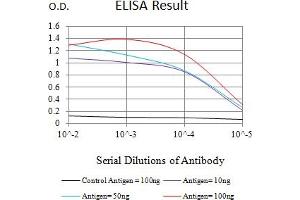 Black line: Control Antigen (100 ng),Purple line: Antigen (10 ng), Blue line: Antigen (50 ng), Red line:Antigen (100 ng) (CD5 Antikörper  (AA 25-372))