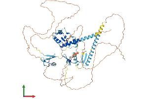 AlphaFold protein structure predicition of Human Recombinant ZMYM5 Protein, UniprotID Q9UJ78