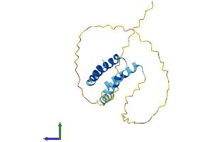 AlphaFold protein structure predicition of Human Recombinant CT45A2 Protein, UniprotID Q5DJT8