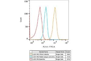 Flow Cytometry (FACS) image for anti-Integrin alpha V (ITGAV) antibody (ABIN7267922)