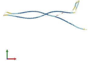 AlphaFold protein structure predicition of Human Recombinant ODF2L Protein, UniprotID Q9ULJ1