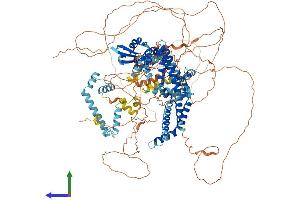 Protein Structure (PS) image for Large Proline-Rich Protein BAT3 (BAT3) (AA 1-1154) protein (His tag) (ABIN7565279)
