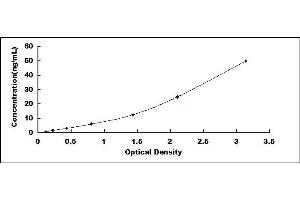 Typical standard curve (SEMA5A ELISA Kit)