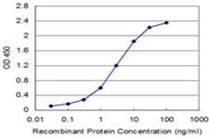Detection limit for recombinant GST tagged FXN is approximately 0. (Frataxin Antikörper  (AA 91-200))