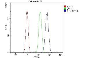 Flow Cytometry analysis of U20S cells using anti-SKA2 antibody (ABIN7603134).