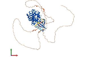 Protein Structure (PS) image for Cyclin Dependent Kinase Like 2 (CDKL2) (AA 1-568) protein (His tag) (ABIN7561722)