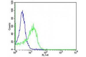 Flow cytometric analysis of HT-29 cells using anti-CD34 antibody (green) compared to an isotype control of rabbit IgG (blue).