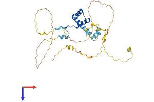 BARHL1 Protein (AA 1-327) (His tag)