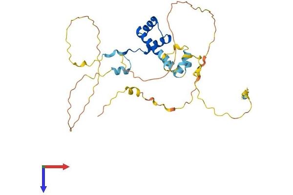 BARHL1 Protein (AA 1-327) (His tag)