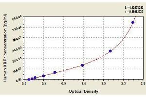 Typical standard curve (XBP1 ELISA Kit)