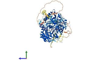 Protein Structure (PS) image for Molybdenum Cofactor Sulfurase (MOCOS) (AA 1-862) protein (His tag) (ABIN7563641)