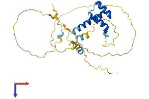 EMX1 Protein (AA 1-257) (His tag)