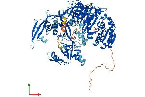 Protein Structure (PS) image for Piwi-Like 4 (PIWIL4) (AA 1-852) protein (His tag) (ABIN7554969)