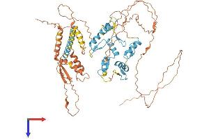 ZNF131 Protein (AA 1-623) (His tag)