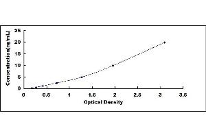 Leptin ELISA Kit