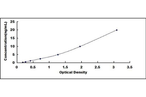 Leptin ELISA Kit