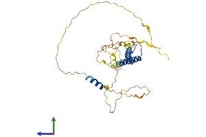Protein Structure (PS) image for Myogenic Differentiation 1 (MYOD1) (AA 1-318) protein (His tag) (ABIN7562821)