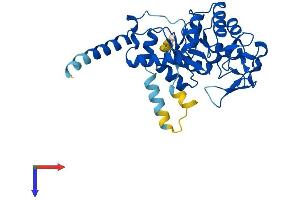 GDPD3 Protein (AA 1-330) (His tag)