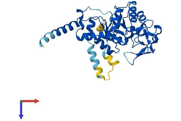 GDPD3 Protein (AA 1-330) (His tag)