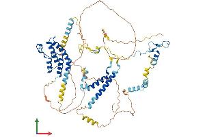 Protein Structure (PS) image for Bromodomain Containing 7 (BRD7) (AA 1-651) protein (His tag) (ABIN7562645)