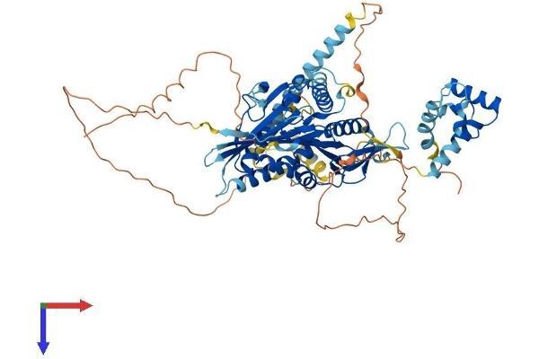 KIF22 Protein (AA 1-665) (His tag)