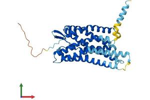 Protein Structure (PS) image for Pyrimidinergic Receptor P2Y, G-Protein Coupled, 6 (P2RY6) (AA 1-328) protein (His tag) (ABIN7561440)