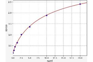Typical standard curve (TNKS ELISA Kit)