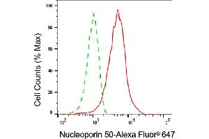 Flow cytometric analysis of Nucleoporin 50 expression in HAP-1 cells using Nucleoporin 50 antibody (ABIN7799677), 1:2,000). (NUP50 Antikörper)