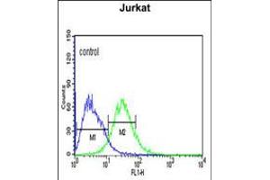 Flow cytometric analysis of Jurkat cells (right histogram) compared to a negative control cell (left histogram). (ADRP Antikörper  (AA 186-214))