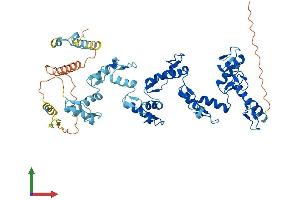 AlphaFold protein structure predicition of Human Recombinant ZNF564 Protein, UniprotID Q8TBZ8