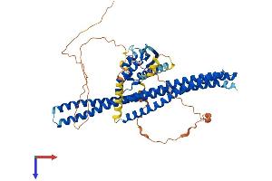 Sorting Nexin 2 Protein (SNX2) (AA 1-519) (His tag)