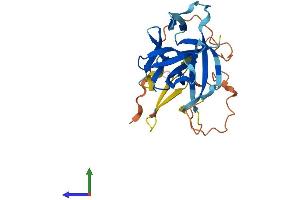 Protein Structure (PS) image for Interleukin 33 (IL33) (AA 1-270) protein (His tag) (ABIN7554145)