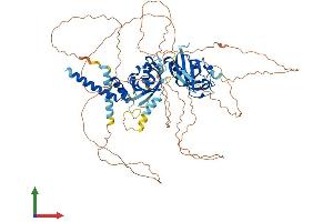 Protein Structure (PS) image for Single-Minded Homolog 1 (SIM1) (AA 1-766) protein (His tag) (ABIN7546098)