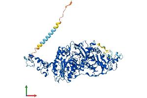 AlphaFold protein structure predicition of Mouse Recombinant Enpp3 Protein, UniprotID Q6DYE8 (ENPP3 Protein (AA 1-874) (His tag))