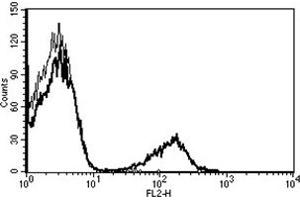 Flow Cytometry (FACS) image for anti-CD19 Molecule (CD19) antibody (PE) (ABIN1105985) (CD19 Antikörper  (PE))