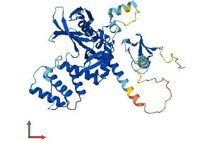 Protein Structure (PS) image for Myosin Regulatory Light Chain Interacting Protein (MYLIP) (AA 1-445) protein (His tag) (ABIN7554655)