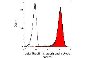 Flow Cytometry (FACS) image for anti-Tubulin, beta (TUBB) (AA 1-50) antibody (ABIN7453995) (Rekombinanter TUBB Antikörper  (AA 1-50))