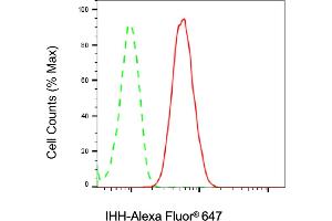 anti-Indian Hedgehog (IHH) antibody