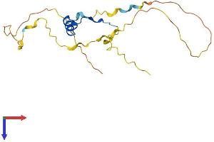 CITED4 Protein (AA 1-182) (His tag)