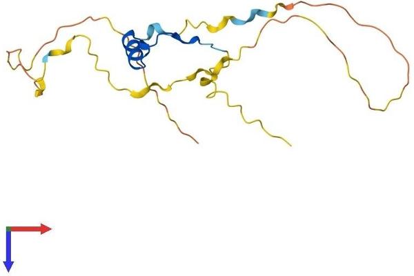 CITED4 Protein (AA 1-182) (His tag)