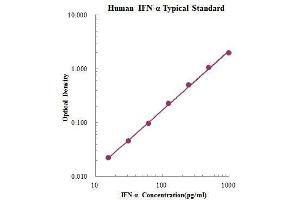 ELISA image for Interferon alpha (IFNA) ELISA Kit (ABIN3198545)